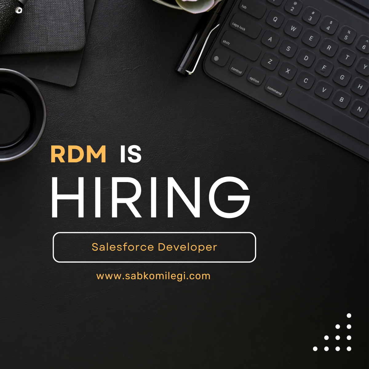 RDM is hiring salesforce developer