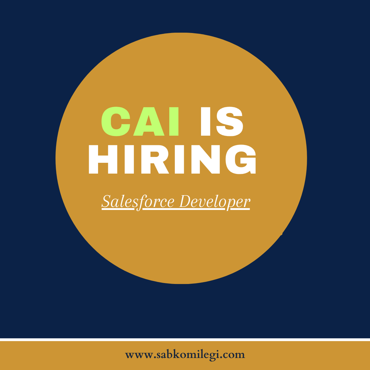 CAI is hiring salesforce developer
